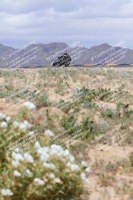 media/Apr-05-2024-Apex Assassins-CVMA Friday Practice (Fri) [[ee2ef04f2b]]/5-Trackday 1/Session 4 (Turn 9 Flowers)/
